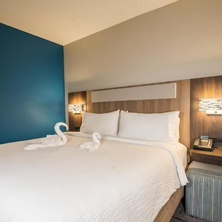 Holiday Inn Express Hotel & Suites Tampa-Oldsmar By Ihg Exterior photo