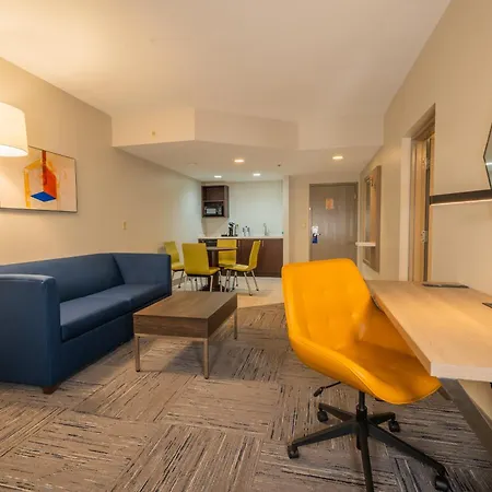 Holiday Inn Express Hotel & Suites Tampa-Oldsmar By Ihg Exterior photo